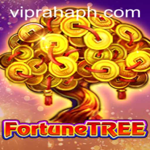 FortuneTree: A Journey into the World of RahaHP